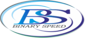 BinarySpeed - Web site designing